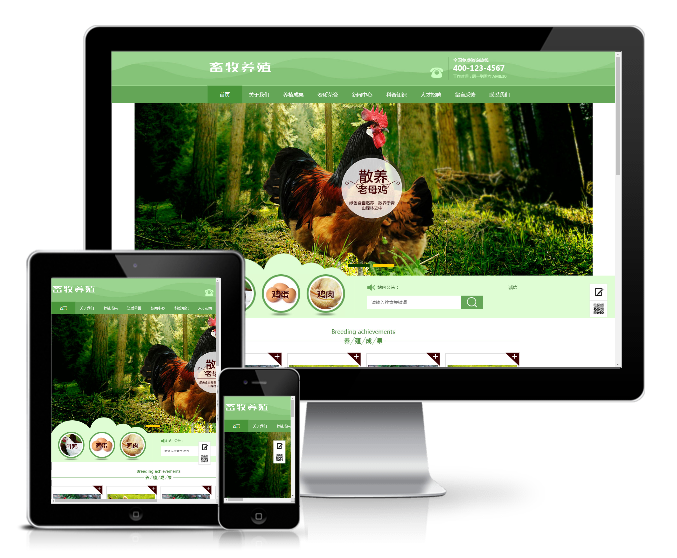 RRZCMS模板 家禽畜牧养殖类网站模板(带手机端) 自适应手机 人人站CMS模板